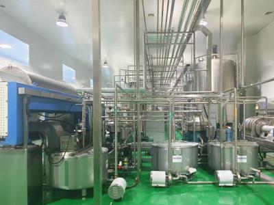 新會柑果球濃縮汁生產線