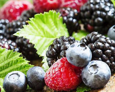 藍(lán)莓、樹(shù)莓、草莓飲料生產(chǎn)線(xiàn)