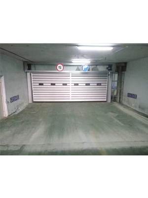 硬質(zhì)快卷門 (4)